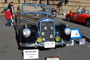 �����Z�f�X�E�x���c�@220 �J�u���I�� A