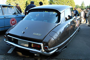 �V�g���G���@DS23 �p���X