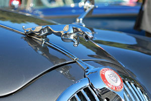 �W���K�[�@�}�[�N �U