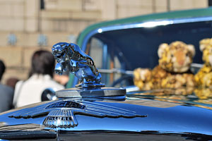 �W���K�[�@�}�[�N �X 3�E1/2���b�g��