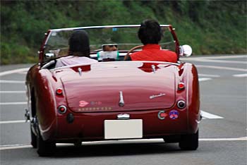 1955 AUSTIN HEALEY 100 BN1