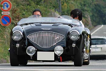 1956 AUSTIN HEALEY 100