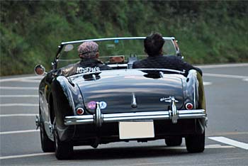 1955 AUSTIN HEALEY 100/4 BN2