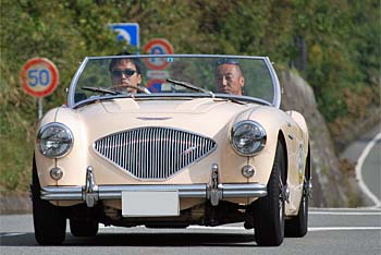 1954 AUSTIN HEALEY 100/4 BN1