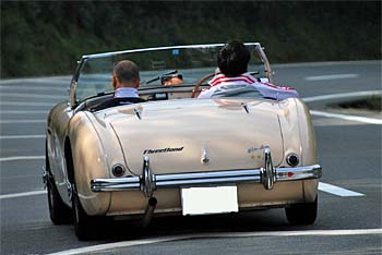 1954 AUSTIN HEALEY 100/4 BN1