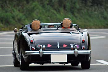 1955 AUSTIN HEALEY 100/4 BN2