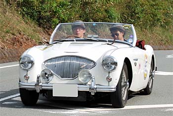 1954 AUSTIN HEALEY 100