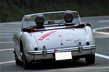 1954 AUSTIN HEALEY 100