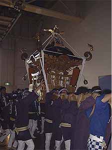 �������Q