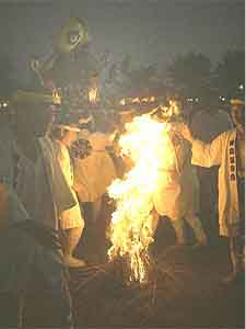 ����ȉΓn��