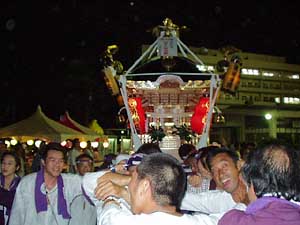 �e�q�����Q