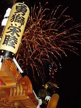 �_�`�z���̉ԉ�