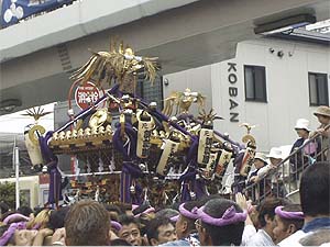 �z�K�r����