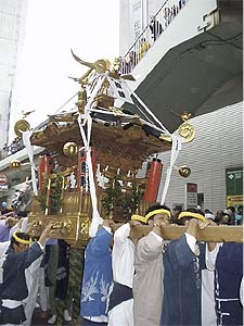 �Z�r����