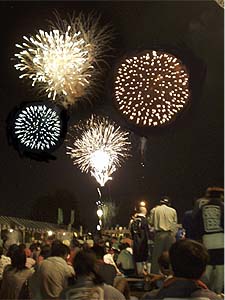 �C���[�W�摜�ł�