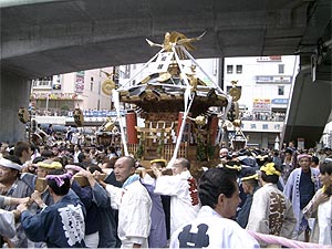 �Z�r����P