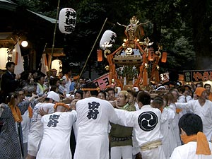 �{�����i�Q