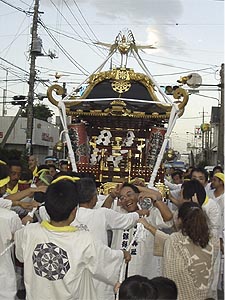 �����`��