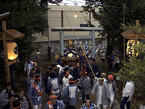 �{�����i�P