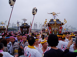 �_�~�Ֆ͗l�R