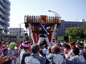 �}�c�E��������P�{����