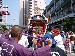 �������O