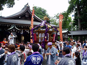 �{���n��P