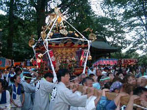 �{�����i�P