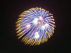 ���ɍ炭��ւ̉؂Q