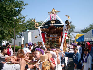 �L�~����񁗉�