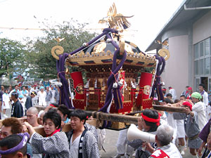 ���������i