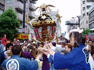 �m�u���񁗉�