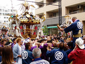 �V���E����񁗉�