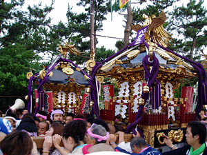 �q����������_