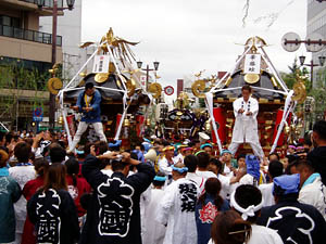 �W�����{�_�`�����P