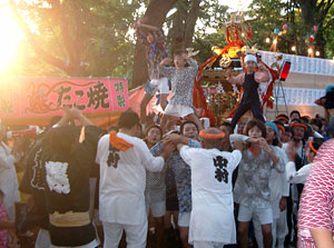 �{�����i�Q