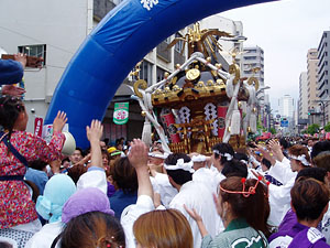 �`�r������T