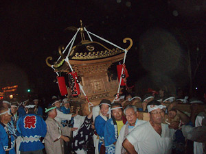 �����������