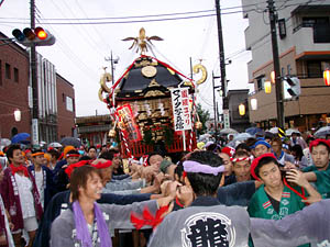 ����������P