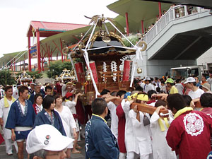 ���d�r����P