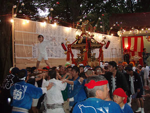 �{�����i�P