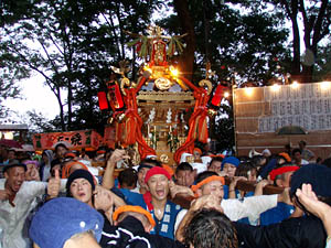 �{�����i�T