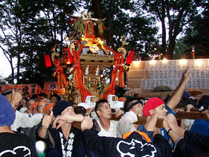 �{�����i�W