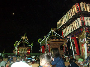 �������i�S