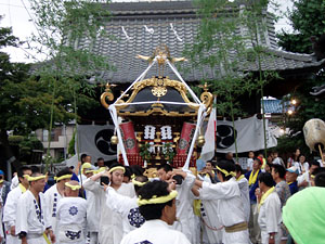 �������Q