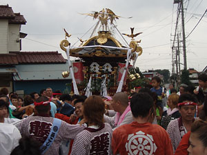 �^�H�[�̗�