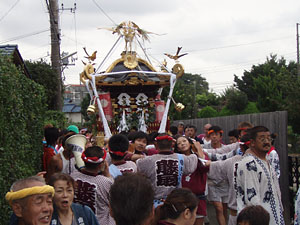 �V�_�G������񁗉�