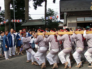 �V�Q����񁗐c�o��