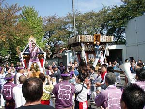 ���ڂ������P