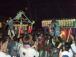 �O�{����